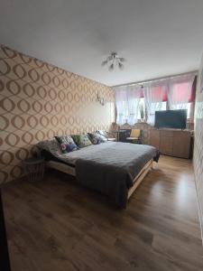 a bedroom with a large bed in a room at Mieszkanie Jelenia in Jelenia Góra