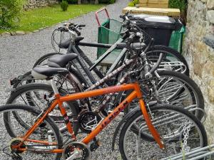 un gruppo di biciclette parcheggiate una accanto all'altra di St Mullins Camping a Saint Mullins