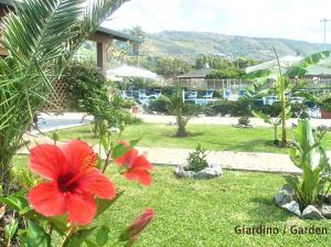 uma flor vermelha num quintal com um resort em Hotel Residence Riviera Calabra em Zambrone