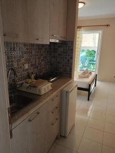 Kuchyň nebo kuchyňský kout v ubytování Apartments Filoxenia Zois
