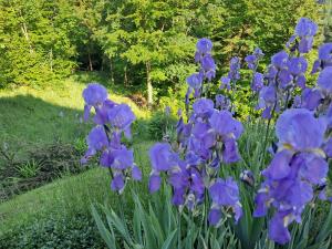 Zahrada ubytování Semmering Villa Sonnenschein