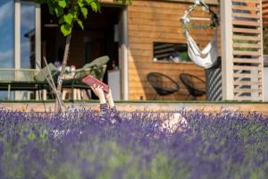 a person reading a book in a field of purple flowers at WOWCABIN - Lovas in Lovas