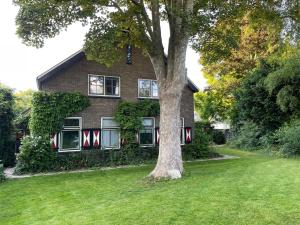 a house with a tree in front of it at B&B Boudevino in Lekkerkerk