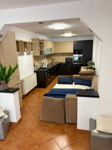 a living room with two beds and a kitchen at Matteo Ivan Imob in Ohaba-Bistra