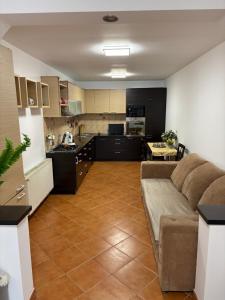 Η κουζίνα ή μικρή κουζίνα στο Matteo Ivan Imob +6 φωτογραφίες