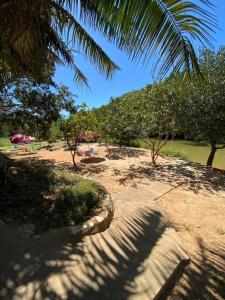 a sandy beach with umbrellas and trees on it at Rancho Pé de Serra in Manhã