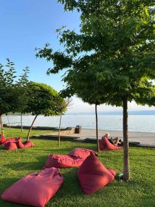 a group of red pillows on the grass near the ocean at Diamond central 1 in Ohrid