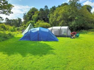 Due tende e un uomo che si piega in un campo di St Mullins Camping a Saint Mullins Altre 37 foto