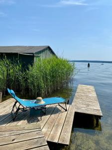 a bench sitting on a dock next to the water at Uferglück Plau - mit eigenem Seezugang in Plau am See
