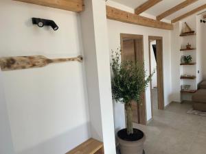 Fotografie z fotogalerie ubytování Galboka Nine v destinaci Nerezine