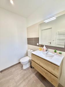 a bathroom with a sink and a toilet and a mirror at Studio Cosy - CLIM & Parking & WIFI in Aucamville