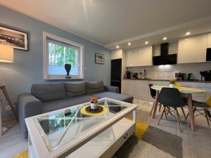 un salon avec un canapé et une table dans l'établissement Apartament Katarzyna, à Międzywodzie
