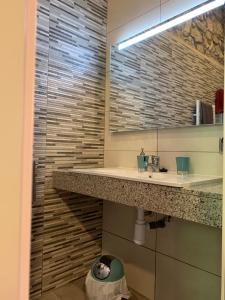 un baño con lavabo y espejo en Hotel rural La soleia d'Oix, en Oix