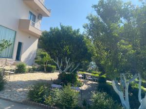 Zahrada ubytování Hotel Dini