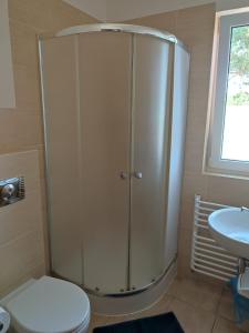 a shower in a bathroom with a toilet and a sink at Pestka in Jastarnia +47 photos