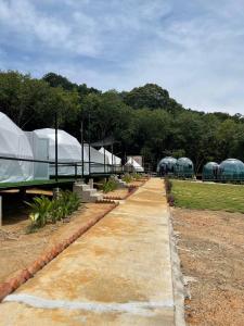 Příroda nedaleko luxury tent