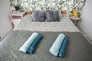 a bed with two blue pillows on it at AbraCadabra Flat France Suisse in Saint-Louis