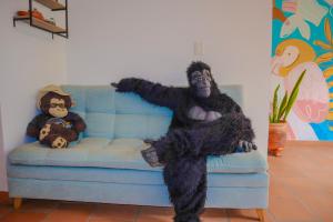 a gorilla sitting on a couch with a teddy bear at Trip Monkey Origen in San Gil