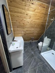 un bagno con lavandino e WC di Fantastic view - Chalet Karakol a Karakol Altre 37 foto