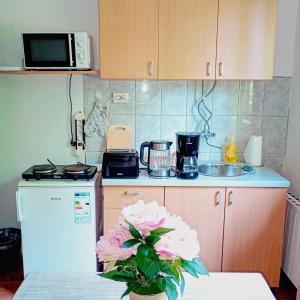 Kuchyň nebo kuchyňský kout v ubytování Apartments with balcony and with large free parking House Oliver