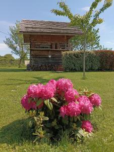 Vonkajšia záhrada v ubytovaní Gîte / chalet meublé pour 2 personnes le 1780