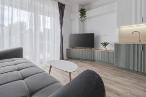 ein Wohnzimmer mit Sofa und Fernseher in der Unterkunft Up Above at Waterview Collection in Oradea
