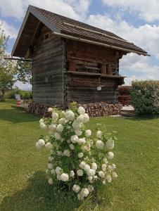 Vonkajšia záhrada v ubytovaní Gîte / chalet meublé pour 2 personnes le 1780