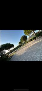 an empty road with trees on the side of the road at Maison vacances climatisée à 20 minutes de la mer in Gallargues-Le-Montueux