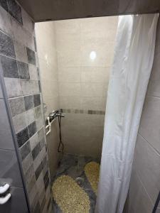 Koupelna v ubytování Apartman Nikola VB