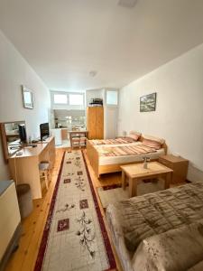 Kuchyň nebo kuchyňský kout v ubytování Apartman Nikola VB