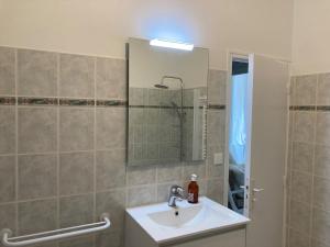 Vannituba majutusasutuses Echoppe Ancienne Boutique de cordonnier avec jardin privé