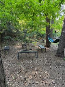 a hammock and two benches in a park with trees at Leśna Chata Arciechów in Arciechow +31 photos