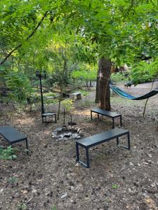 a park with benches and a hammock under a tree at Leśna Chata Arciechów in Arciechow
