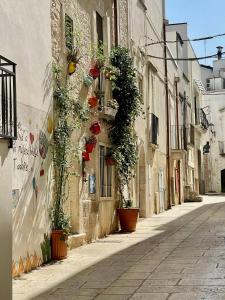 an alley with potted plants on the side of a building at Centro Storico Di Tea in Turi +12 photos
