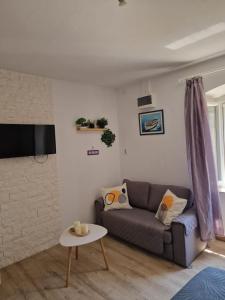 TV a/nebo společenská místnost v ubytování Apartments Tragurion