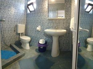 a bathroom with a sink and a toilet and a mirror at Camere de închiriat Alex in Costinesti