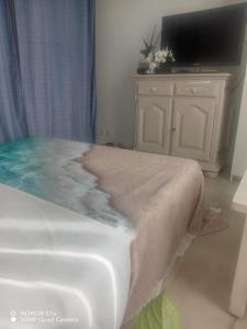 フレジュスにあるchambre chez l'habitantのベッドとドレッサーの上にテレビがある寝室