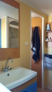 un baño con lavabo y espejo en Mobil-Home Clermont-Auvergne, en Sigean