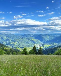 Peisaj natural din apropierea acestui apartament