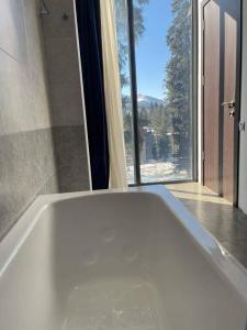 Φωτογραφία από το άλμπουμ του Flat in Bakuriani forest στο Bakuriani