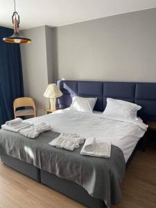 Ένα ή περισσότερα κρεβάτια σε δωμάτιο στο Flat in Bakuriani forest +24 φωτογραφίες