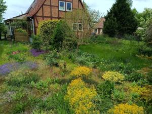 LalendorfにあるFerienhof Maikitoの家の前の花の庭園