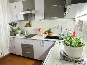 a kitchen with white cabinets and a sink and plants at Sunny Hostel Mongolia in Ulaanbaatar