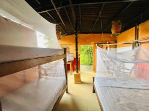 a bedroom with a bunk bed in a house at Hostal CASA COLIBRI MINCA in Minca +10 photos