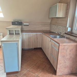 a small kitchen with a sink and a counter at Apartament GRZEŚ in Wielen Zaobrzanski