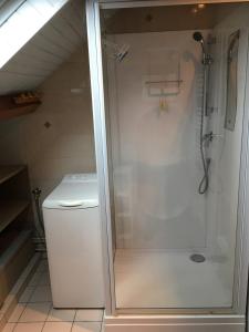 una doccia con porta in vetro accanto a servizi igienici di Toit et Moi a Le Mont-Dore