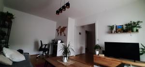 Et tv og/eller underholdning på Apartman za najam za potrebe koncerta MP Thompsona + 4 billeder