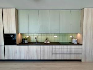 a kitchen with blue cabinets and a sink at Apartment VIEW 27 in Olomouc +12 photos