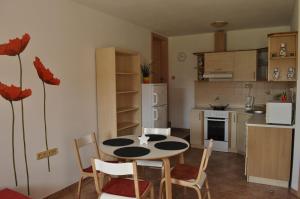 Kuchyň nebo kuchyňský kout v ubytování Apartmány Lipno - Frymburk