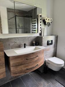 a bathroom with a sink and a toilet at Moderne Zimmer nähe A3 in Ransbach-Baumbach
